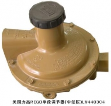 赤水LV4403C4 DN20單段減壓閥 美國力高REGO調節器
